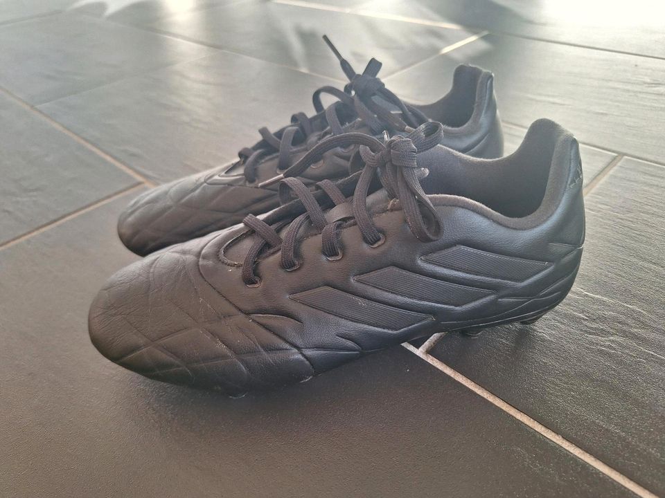 Adidas Copa Fußball Stollen Schuhe Leder 40 ⅔ in Alfeld (Leine)