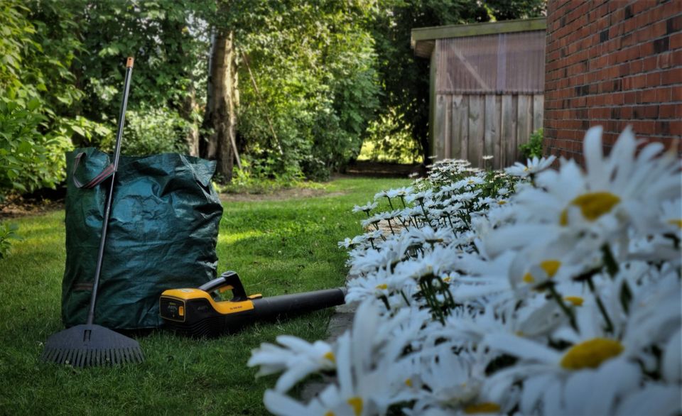 Professionelle Gartenpflege. in Wesseln