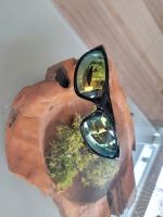Coole Sonnenbrille vom Optiker Baden-Württemberg - Balingen Vorschau