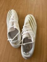Fußballschuhe Adidas X GHOSTED EU47.5  kaum getragen *HEUTE* Brandenburg - Cottbus Vorschau