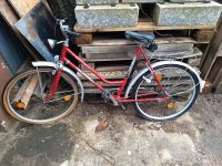 Diadem Damenfahrrad Fahrrad retro oldtimer 70er Bayern - Plattling Vorschau