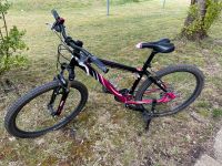 Damen Mountainbike, Fahrrad, Specialized MTB Brandenburg - Bestensee Vorschau