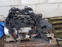 ✔️ Motor N47D20 2.0D 177PS BMW 1 3 5 54TKM UNKOMPLETT Berlin - Wilmersdorf Vorschau