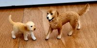 Schleich Golden Retriever und Welpe Köln - Weidenpesch Vorschau