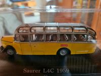 4 Modell Reisebuse zu Verkaufen Niedersachsen - Marschacht Vorschau