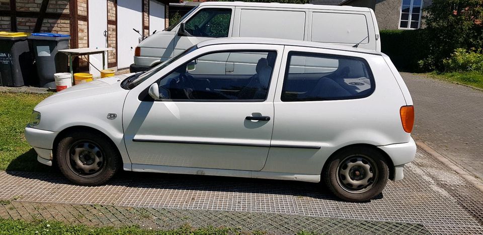 VW Polo (2/3 Türig, weiß, BJ. 04.1997, HU bis 11.2025) in Zepelin