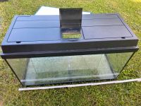 Aquarium 80x35x40 Thüringen - Sondershausen Vorschau