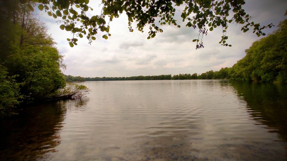 EFH mit großem Garten in Seevetal OT Hörsten. in Seevetal