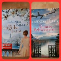 Lucinda Riley ♡ 2 Bücher Sachsen - Rabenau Vorschau