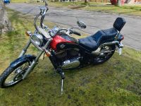 Chopper Kawasaki VN800 Motorrad Herzogtum Lauenburg - Krummesse Vorschau