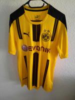 Dortmund Trikot Münster (Westfalen) - Coerde Vorschau