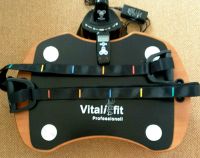 Vibration Platte Vitalis fit professionell privat verkauf Baden-Württemberg - Reutlingen Vorschau