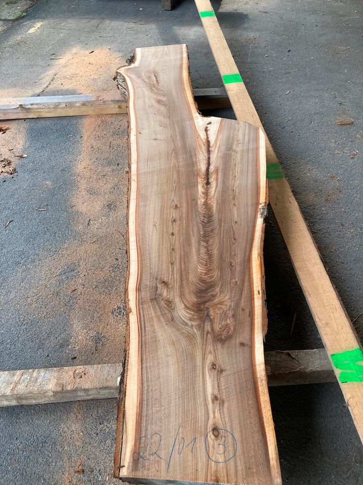 Ulme 6cm & 5cm stark Schnittholz Bohle in Bautzen