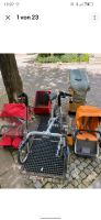 TAGA Bike Stroller Cargo Lastenfahrrad Transport Box Kindersitz München - Bogenhausen Vorschau