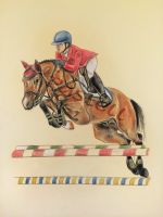 Pastell Springpony Reitpony Welsh Bild Zeichnung Wallach Stute Nordrhein-Westfalen - Kevelaer Vorschau