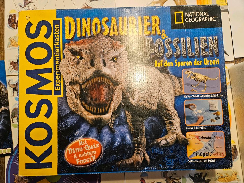 Dinosaurier und Fossilien von Kosmos in Ottenhofen