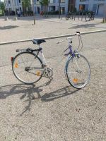 Damenfahrrad 28 zoll München - Pasing-Obermenzing Vorschau