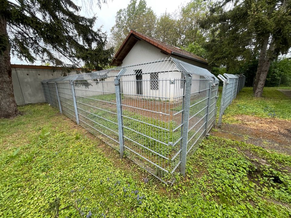 Zaun/ Tierzaun mit Doppeltüren 1.60m hoch in Bad Schönborn