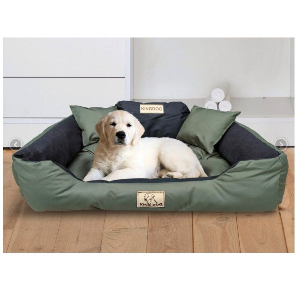 Personalisiertes Hundebett Kingdog 115 x 95 cm wasserdicht NEU in Herford