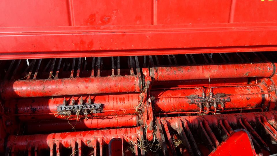 Ladewagen Pöttinger GP 2 in Oberreute