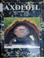 Axolotl Buch Joachim Wistuba Nordrhein-Westfalen - Herdecke Vorschau