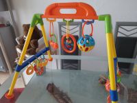 Baby Spielebogen / Trapez mit Zubehör Baden-Württemberg - Aach Vorschau