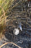 Vogel Edelstahlvogel Granitvogel Steinvogel Schrauben Garten Bayern - Gefrees Vorschau