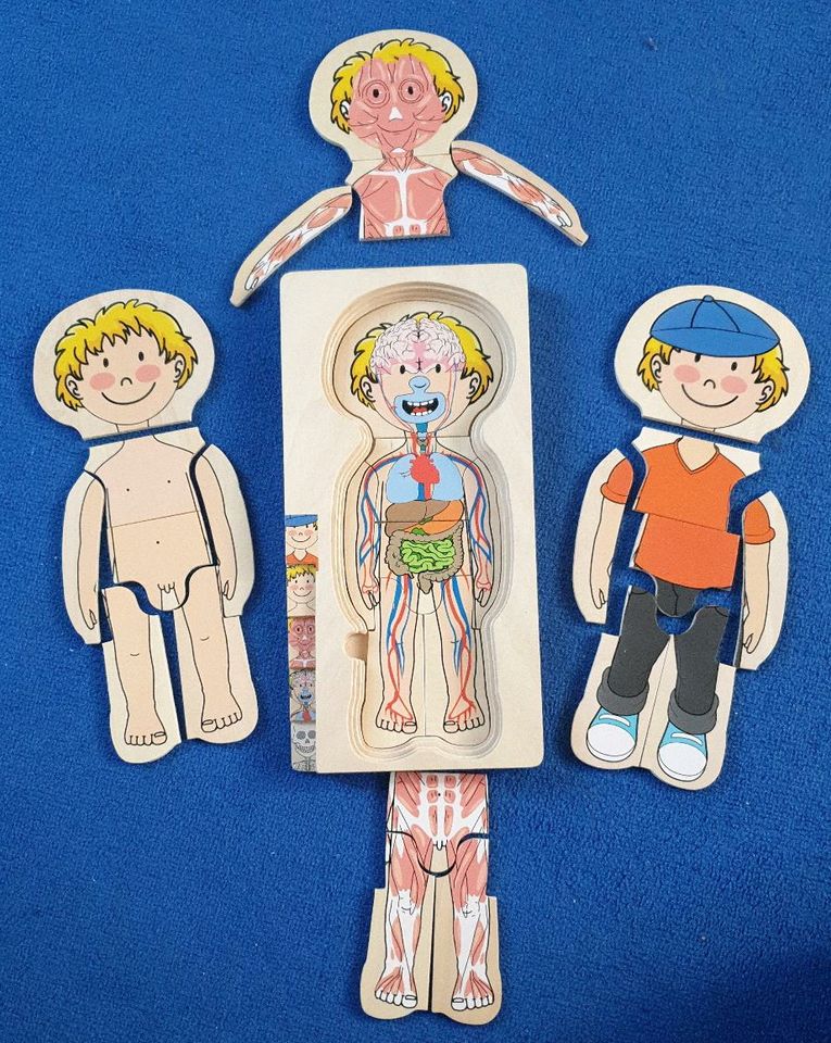 Holzpuzzle, Anatomie für Kinder in Altmannstein