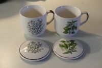 Zwei Formschöne Teetassen mit elegantem Kräutermotiv Aachen - Laurensberg Vorschau
