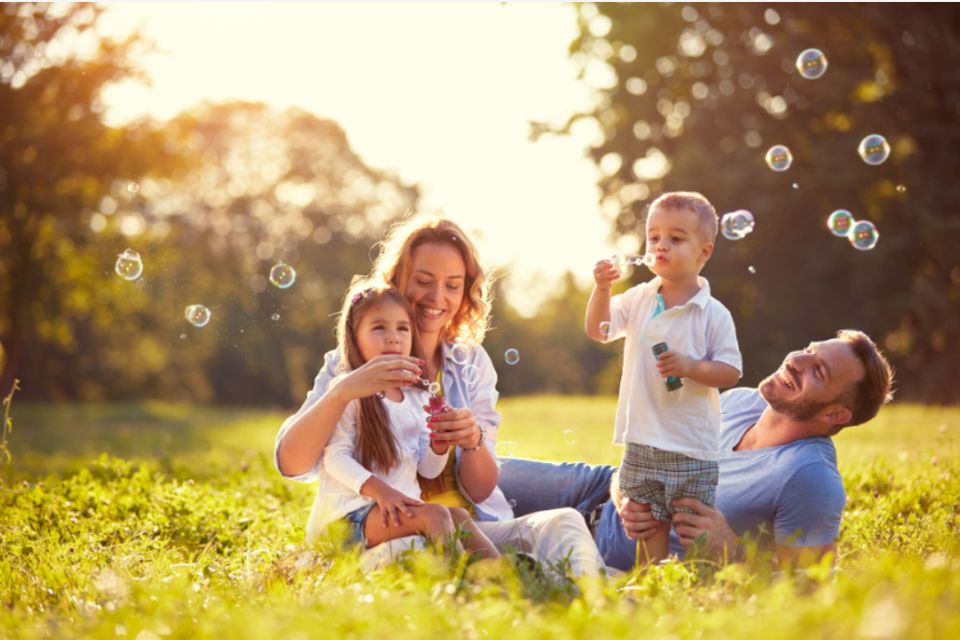 WIR SUCHEN FÜR EINE FAMILIE EIN BAUGRUNDSTÜCK in Nonnweiler