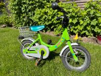 Puky 12 Zoll Kinderfahrrad grün Rheinland-Pfalz - Harthausen Vorschau