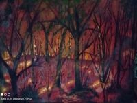 Natur Bäume Feuer Brennender Wald Acryl Bild Bergedorf - Kirchwerder Vorschau