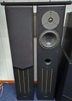 Standlautsprecher Merlin Music Systems VSM-M, mit BAM Nordrhein-Westfalen - Gronau (Westfalen) Vorschau