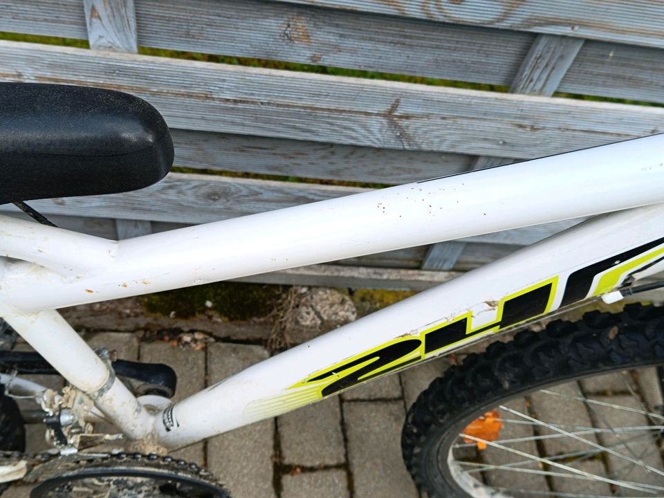 Fahrrad 24 Zoll in Heilbad Heiligenstadt