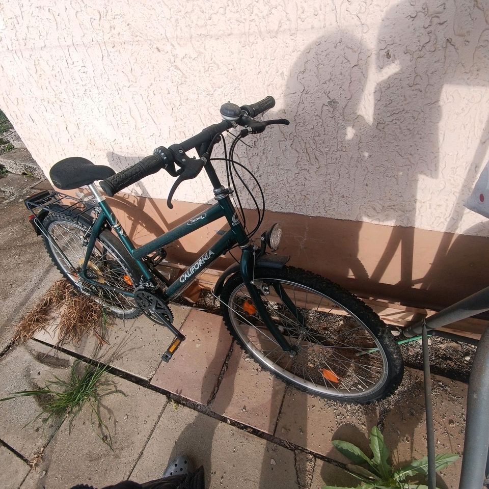 3 Fahrräder für Erwachsene in Nagold