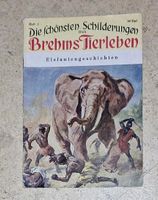 Brehms Tierleben, Heft Nr.2 , Elefantengeschichten Bayern - Grafenrheinfeld Vorschau