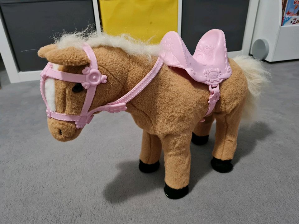 Baby born Pferd Pony, mit Geräuschen in Hannover