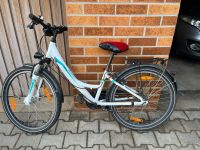 24 Zoll Fahrrad, sieben Gang Shimano Schaltung Bayern - Vilseck Vorschau