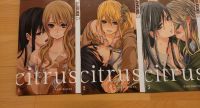 Citrus Manga Sammlung Auflösung Verkauf Nordrhein-Westfalen - Rietberg Vorschau