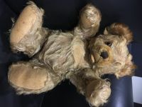 Steiff Teddy Nordrhein-Westfalen - Mülheim (Ruhr) Vorschau