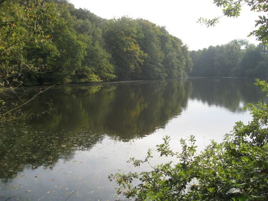 1 schöne große Pferdebox frei in Alsdorf