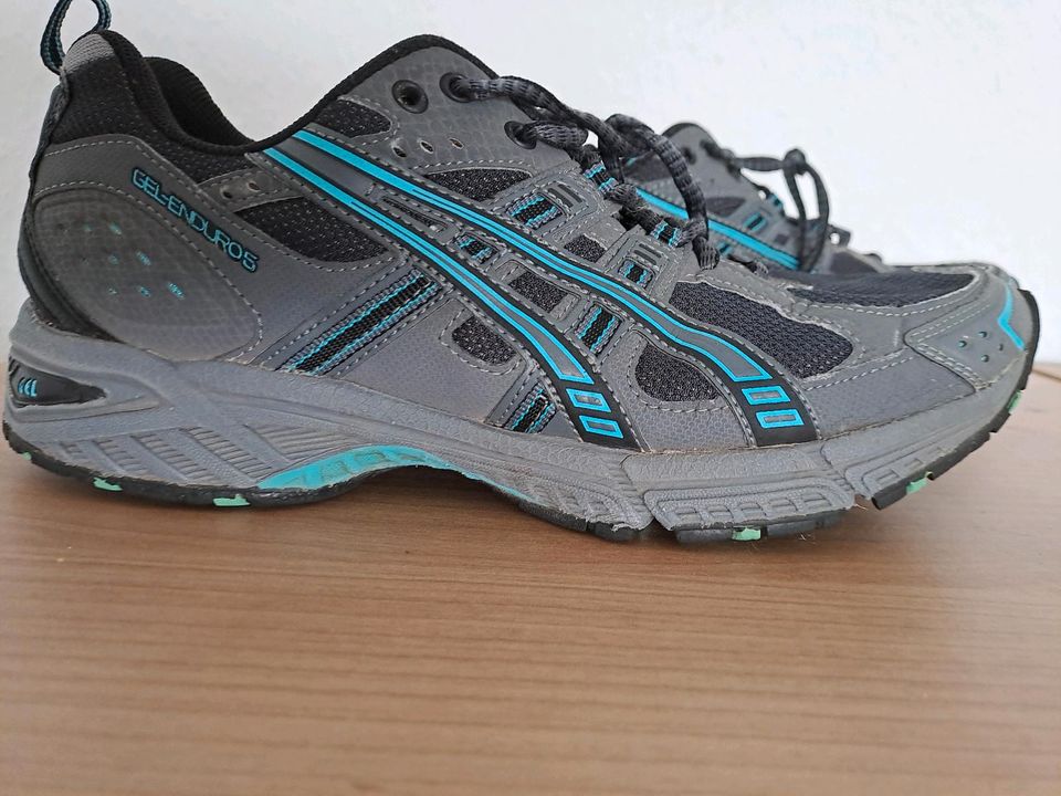 Asics Gel Enduro, Wanderschuhe, Trekkingschuhe 40 in Bendorf