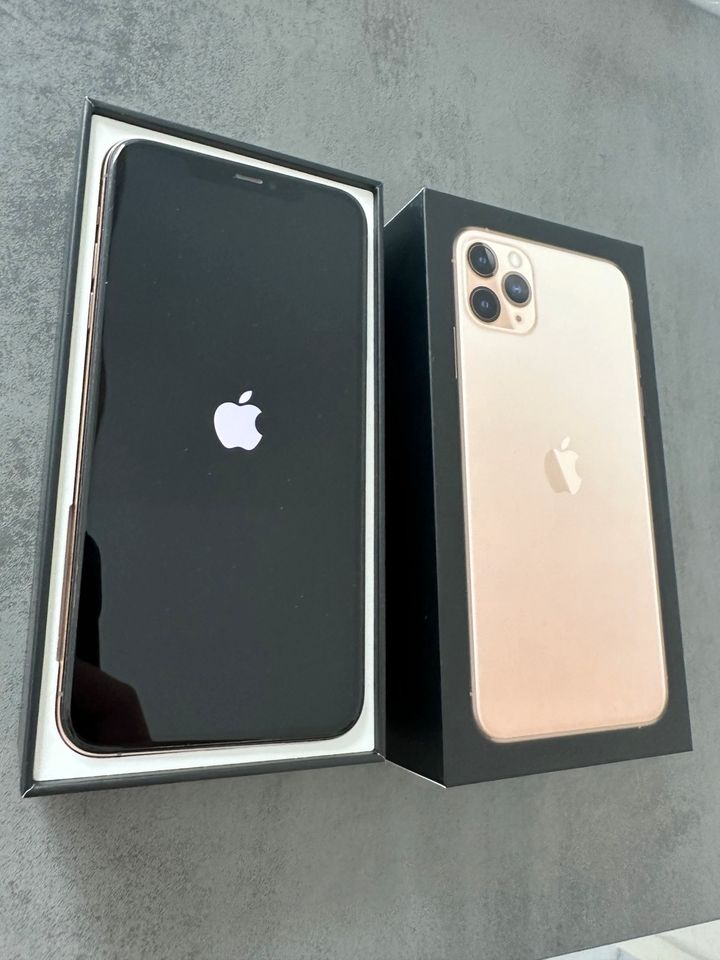 iPhone 11 Pro Max 64 GB Gold mit Hüllen in Sundern (Sauerland)