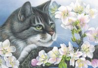 Diamond Painting DIY D5 Motiv Katze Blumen 30 x 40 cm Harburg - Hamburg Heimfeld Vorschau