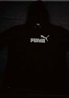 Damen Mädchen Pullover Hoody Puma Gr M 38 original Nordrhein-Westfalen - Burbach Vorschau