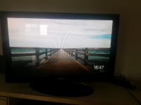 Samsung Plasma TV Full HD, 42 Zoll Saarland - Homburg Vorschau