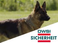 Sicherheitsmitarbeiter (m/w/d) mit Hund - Security 14,90 €/h Sachsen - Neustadt Vorschau