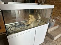 EHEIM 180l Aquarium + Unterschrank Rheinland-Pfalz - Nackenheim Vorschau