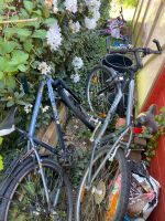 2 Fahrräder zu verkaufen Schleswig-Holstein - Norderstedt Vorschau