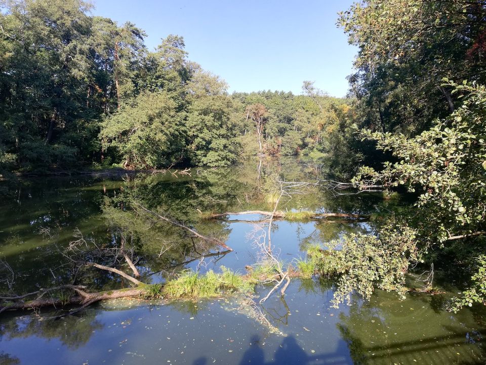 Ferienhaus Kanal in Müllrose in Müllrose